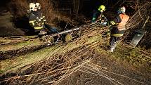 Vítr řádil v noci z neděle na pondělí 11. března i na Šluknovsku