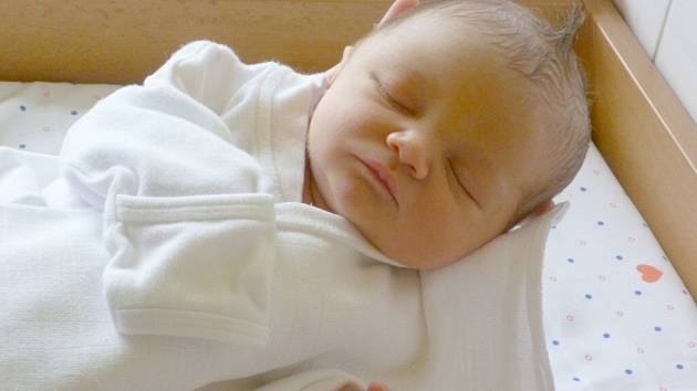 Mamince Gabriele Dudové z Děčína se 11.září v 11.26 narodil v děčínské nemocnici syn Sebastián Kalas. Měřil 49 cm a vážil 3,18 kg.