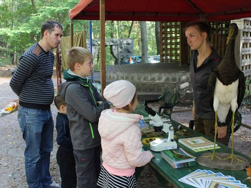 Zvířecí party v děčínské zoo.