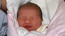 Pavle Kozákové z Rumburka se 29. prosince v 16.37 v rumburské porodnici narodila dcera Anežka Linh. Měřila 48 cm a vážila 2,56 kg.