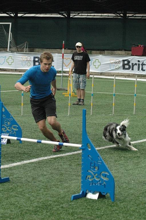 MĚSTSKÝ STADION v Děčíně hostil závody agility.