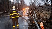 Hasiči z Varnsdorfu odklízeli ve čtvrtek 17. února polámané stromy ze silnic
