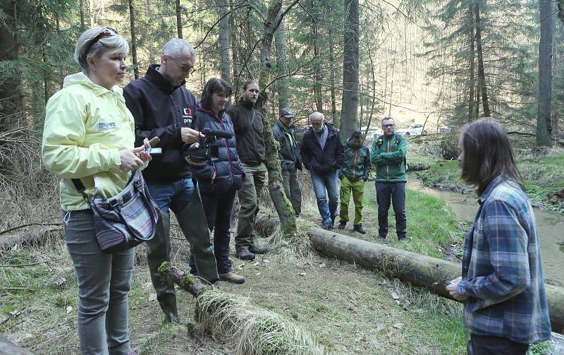 Do potoka Jetřichovické Bělé vypouštěli rybáři několik tisíc rybích plůdků lososa.