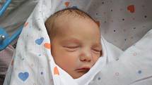 Veronice Kislingerové z Jílového se 20. května ve 4.34 v děčínské porodnici narodil syn Dominik Dvonč. Měřil 51 cm a vážil 3,18 kg.