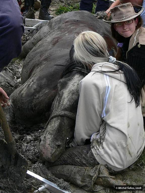 Hasiči zachraňovali zapadlého koně 