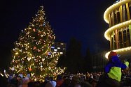Vánoční strom v Děčíně u knihovny. Ilustrační foto