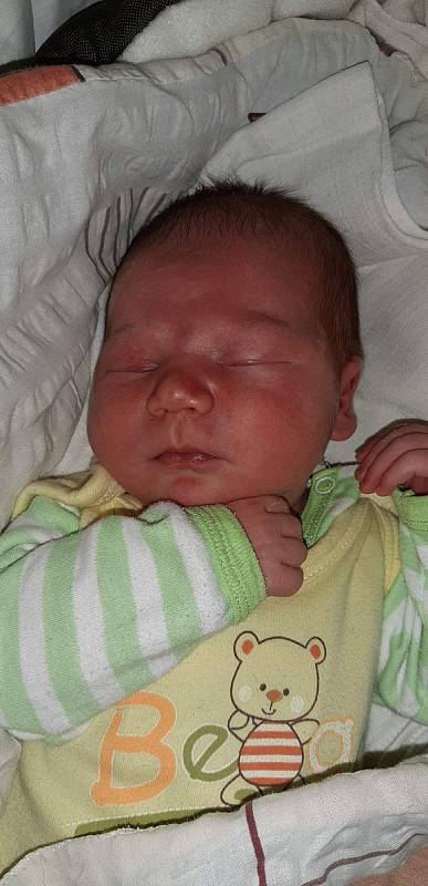 Rodičům Marii a Antonínu Švihoříkovým z Rybniště se 8. března narodil Daniel Švihořík. Měřil 54 cm  a vážil 4,18 kg.