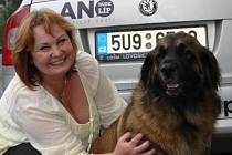 Marcela Dvořáčková se psem Akilou. 