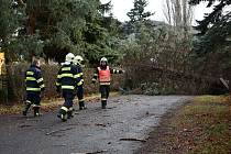 Orkán Sabine řádila také v Děčíně, kde polámala několik stromů.