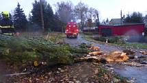  Vítr značně poškodil mohutný strom na Sněžníku. Na místo vyjeli místní hasiči a strážníci.