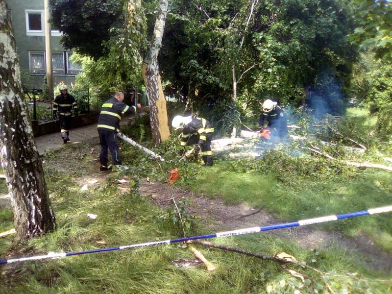 Bouřka zasáhla také břízu mezi domy na křižovatce Přemyslovy a Rakovnické ulice.