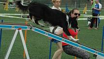 AGILITY - Městský stadion v Děčíně, 2015.