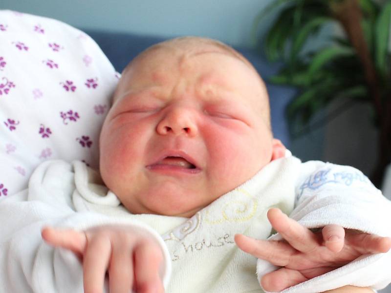 Rodičům Lucii a Milanu Myškovým z Velké Bukoviny se v úterý 30. října v 19:51 hodin narodila dcera Anna Myšková. Měřila 51 cm a vážila 4,08 kg.