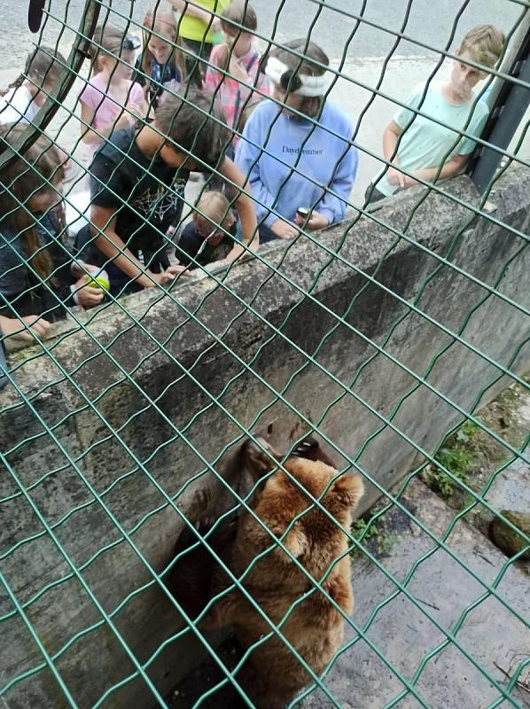 Děti si noc v Zoo užily, dozvěděly se celou řadu zajímavých informací.