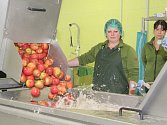 Jak se vyrábí pravý jablečný mošt se přišly podívat desítky lidí.