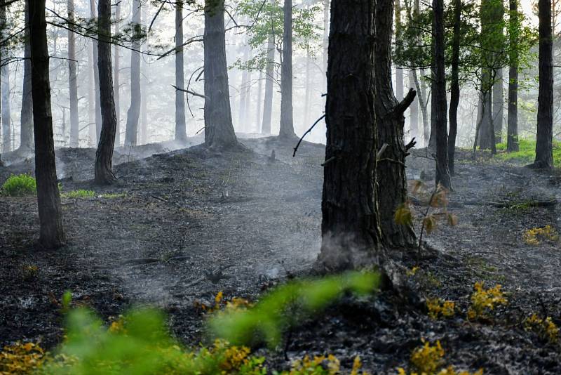 Nad Děčínem hoří les.