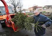 Vánoční stromky budou od kontejnerových stání odvážet technické služby k likvidaci štěpkováním.