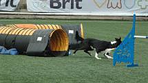 MĚSTSKÝ STADION v Děčíně hostil závody agility.