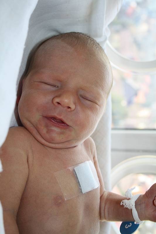 Mamince Ditě Faltusové z Dobkovic se 5. března ve 13.13 narodil v děčínské nemocnici syn Oliverek Faltus. Měřil 50 cm a vážil 2,7 kg.