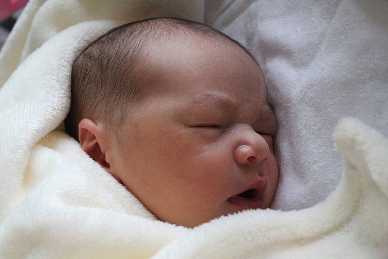 Dominika Pavelková se narodila Natálii Pavelkové z Rumburku 15. října v 7.38 v děčínské porodnici. Vážila 3,76 kg.