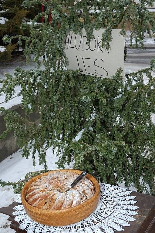 Varnsdorfu vládly masopustní masky