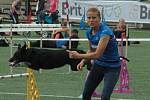 MĚSTSKÝ STADION v Děčíně hostil závody agility.