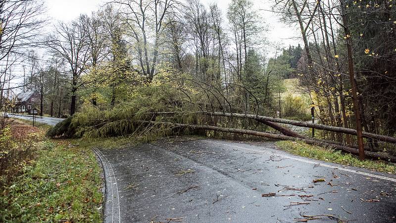 Následky nedělní vichřice na Šluknovsku.