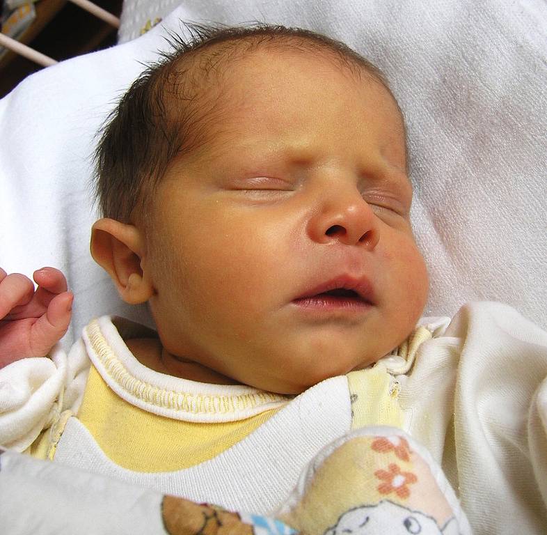 Lucii Bittalové z České Lípy se v českolipské porodnici 27. října v 8.36 narodila dcera Veronika Michalíková. Měřila  43 cm a vážila 2,4 kg