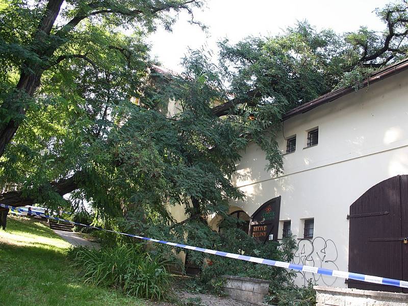 Na obchod radního Grešíka spadl strom
