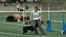 MĚSTSKÝ STADION v Děčíně hostil závody agility.