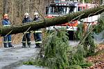 Do ulice Lesní vyjeli dobrovolní hasiči z Rumburku, jeden ze stromů se kvůli silnému větru vyvrátil a spadl přes silnici na dráty s elektřinou.