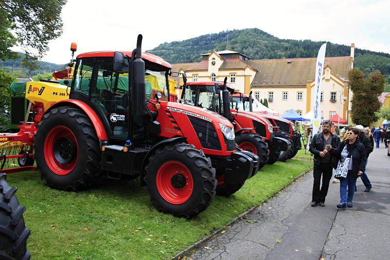 V areálu střední zemědělské školy v Libverdě je až do neděle zahradnická a zemědělská výstava.