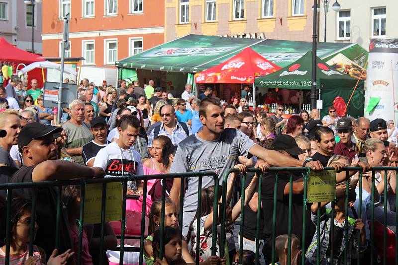 Benešov při Slunovratu bavila Laura a její tygři nebo Gipsy.cz.