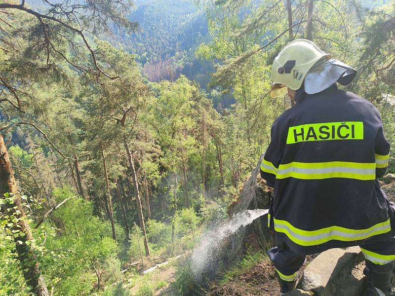 Hasiči likvidovali lesní požár na Děčínské výšině.