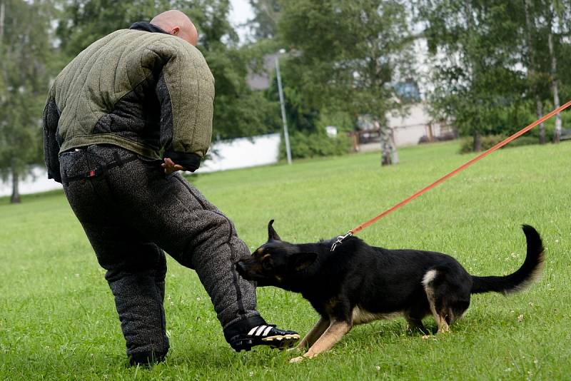 Ukázkovou práci psovodů předvedli policisté  v pondělí v Rumburku.