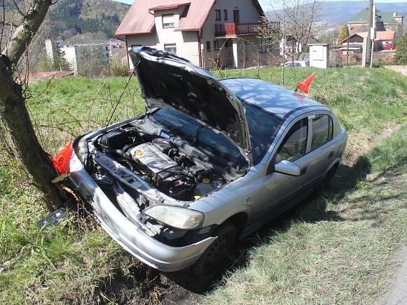 Auto skončilo ve stromě.