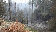 Hasiči zasahují v Českém Švýcarsku. Symbolem požáru se stala Mezná