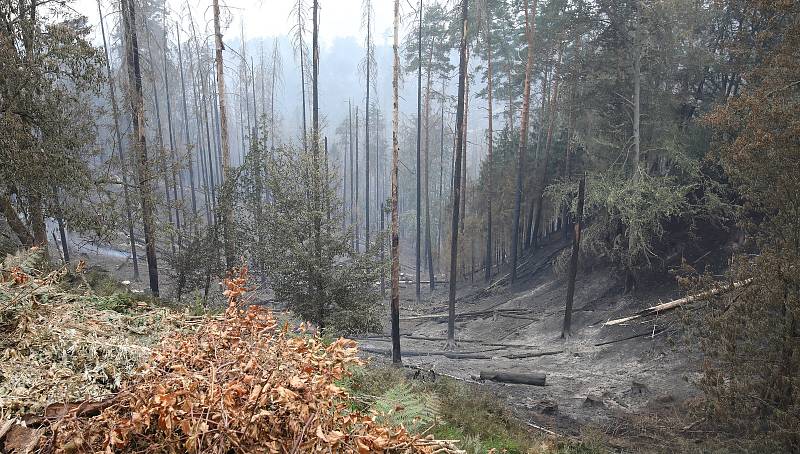 Hasiči bojují s požárem v Českém Švýcarsku. Na Mezné shořelo několik domů. Středa 27. července.