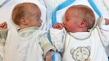 Jan a Jakub Jarkovský se narodili Kateřině Jarkovské z Jílového 22. října ve 23.52 a 23.53 v ústecké porodnici. Měřili 41 a 42 cm a vážili 1,48 a 2,1 kg.