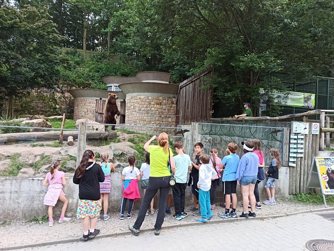Návštěvníci v děčínské zoo pozorují medvěda Bruna.