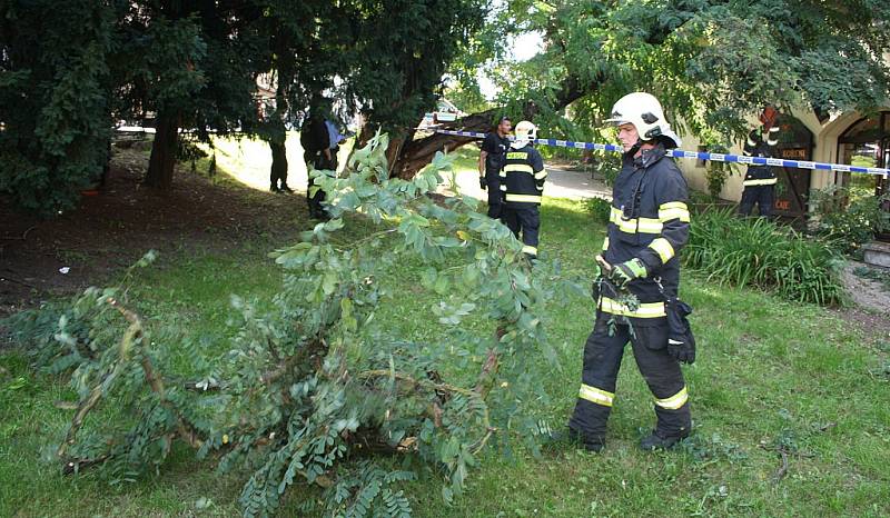 Na obchod radního Grešíka spadl strom