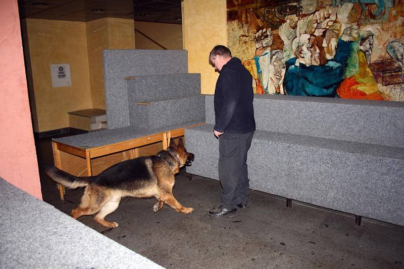 Policejní kynologové hledali na Střelnici v rámci cvičení bomby a drogy.