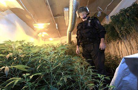 Policisté objevili další pěstírnu marihuany
