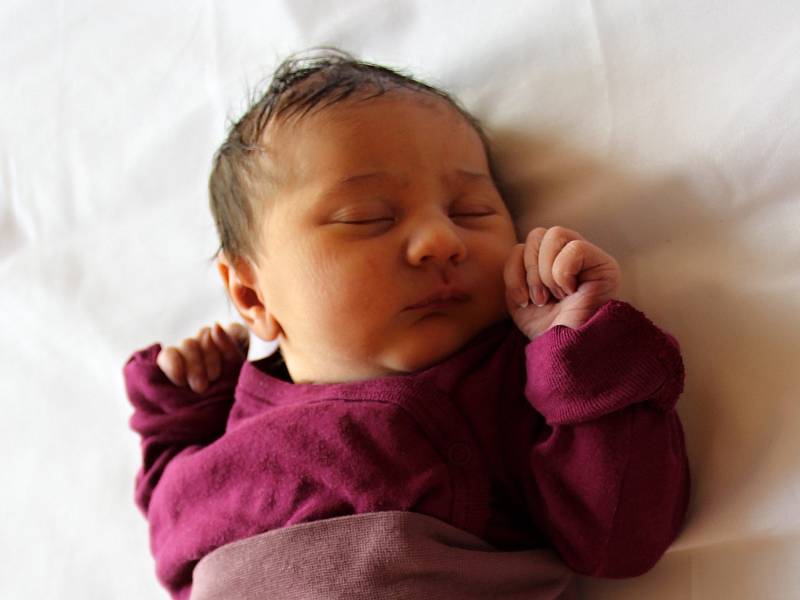Rozálie Adámková se narodila Ivaně a Danielu Adámkovým z Františkova nad Ploučnicí 1. ledna v 1.26 v kadaňské porodnici. Vážila 3,3 kg.