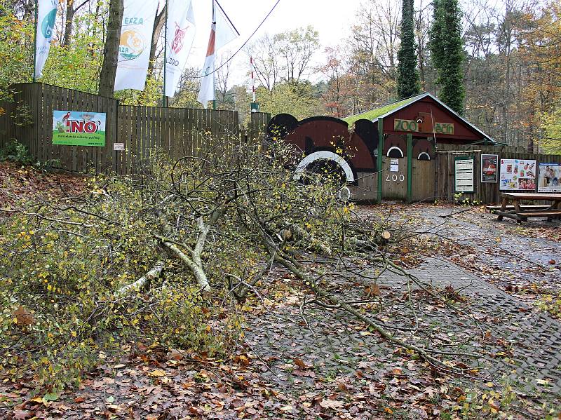 Kvůli vichřici je uzavřená zoo v Děčíně.