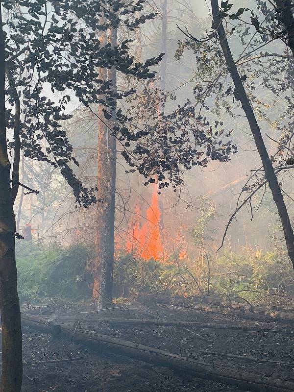 Požár v národním parku, pondělí 25. července.