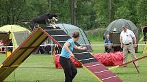 Dvoudenní psí závody agility Borec severu 2012 v Mikulášovicích.