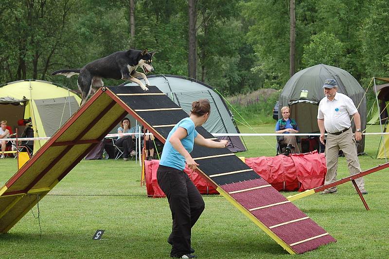 Dvoudenní psí závody agility Borec severu 2012 v Mikulášovicích.