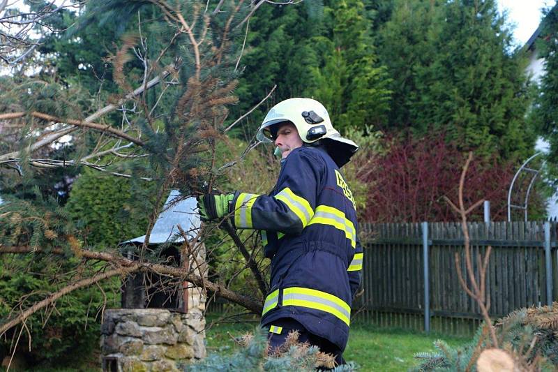 Hasiči likvidují strom spadlý na dům v Děčíně - Horním Oldřichově.