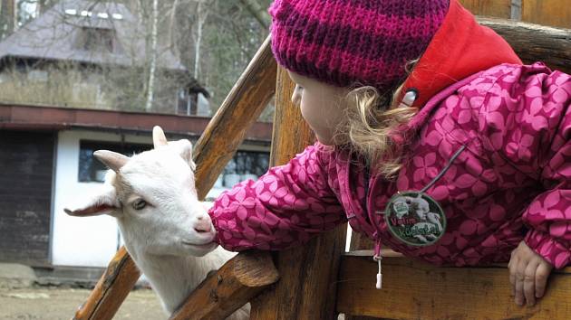 Děčínská zoo.